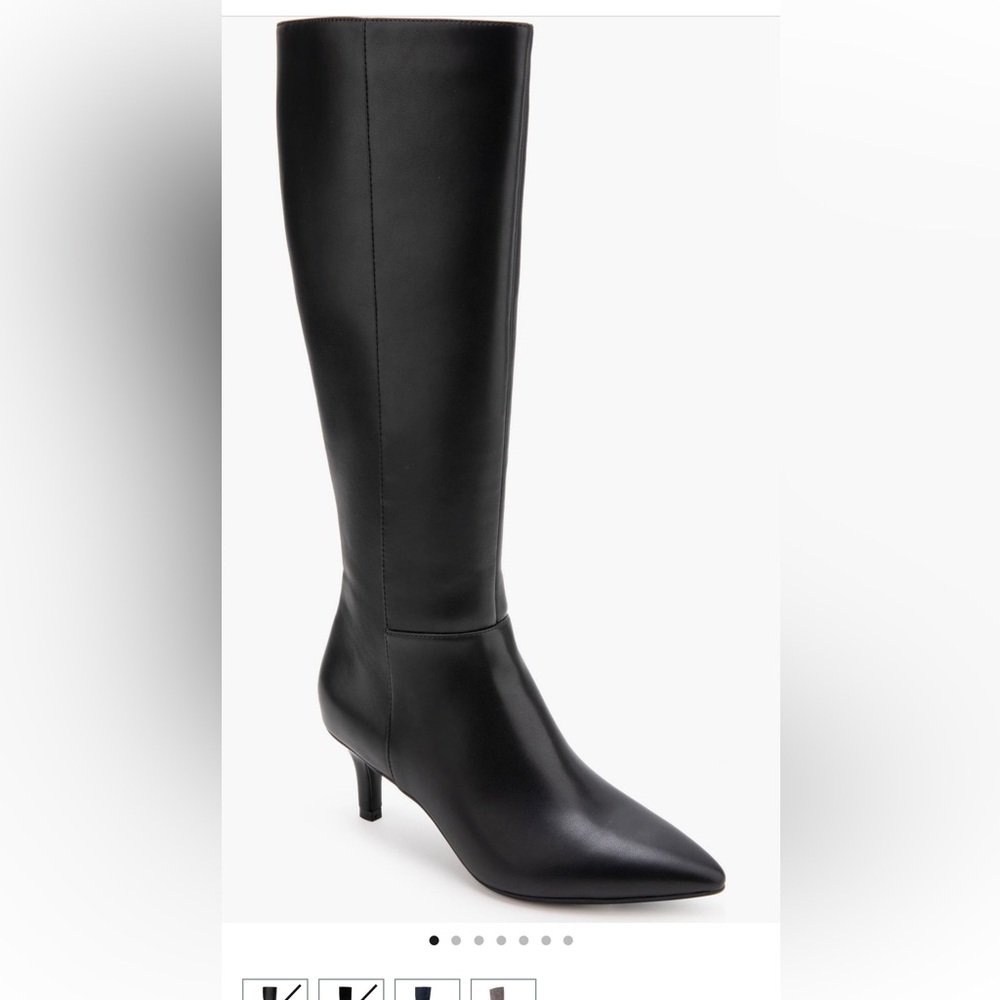 Aerosoles kitten heel tall boot